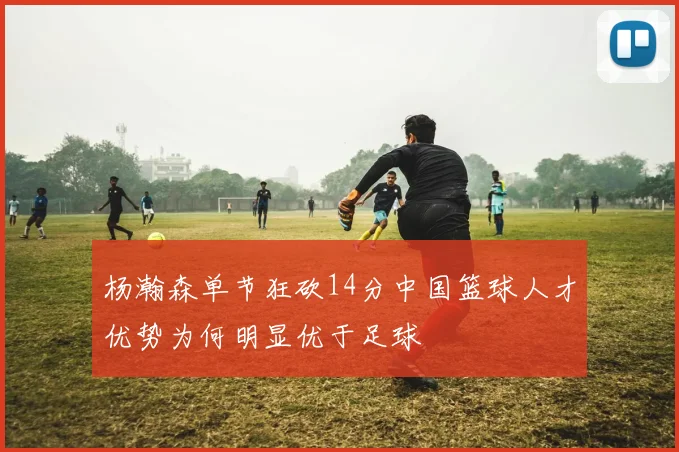 杨瀚森单节狂砍14分中国篮球人才优势为何明显优于足球