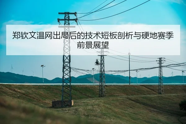 郑钦文温网出局后的技术短板剖析与硬地赛季前景展望 | LEYU.COM